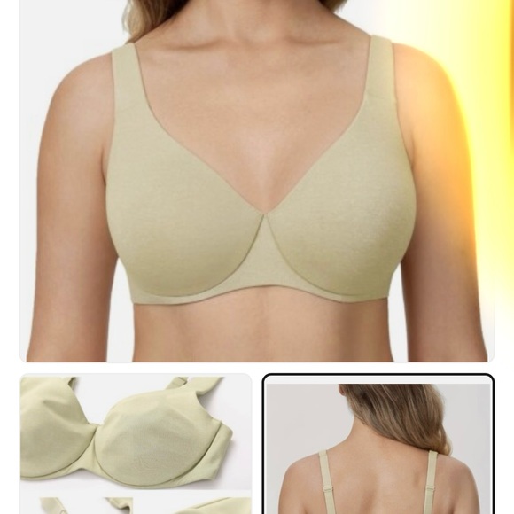 Delimira Light Green Heather  Bra 42D - Picture 1 of 10
